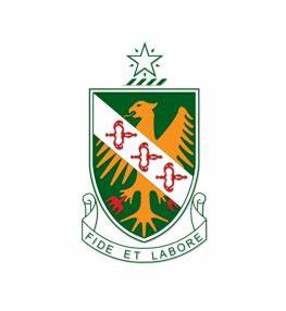 Logo ST. John's Institution